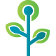 grüne Blume